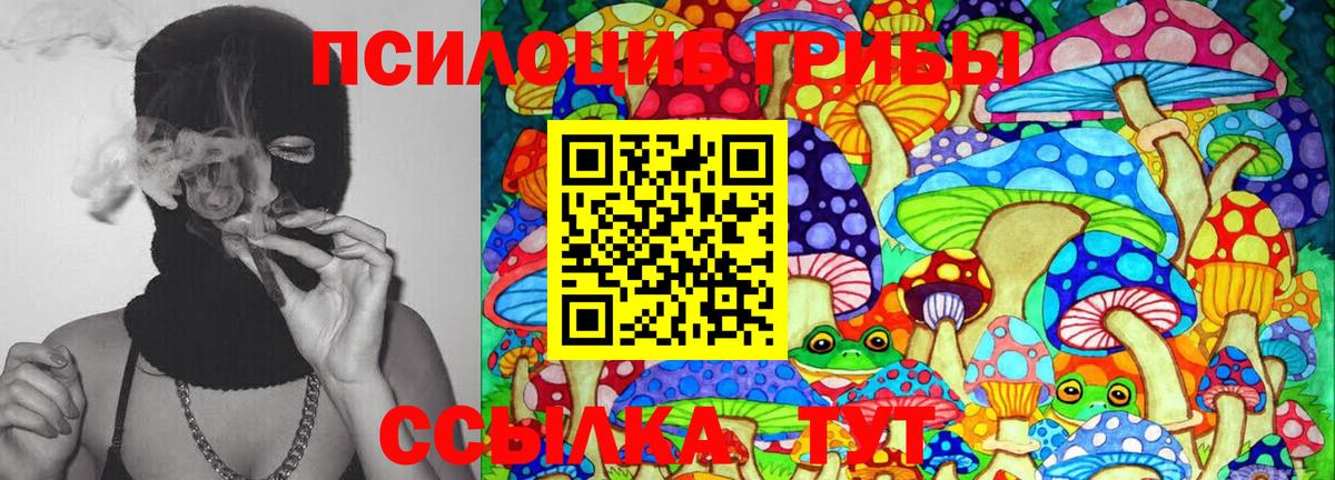 Свободный  цена   Вход с VPN  Галлюциногенные грибы мухоморы  Псилоцибиновые грибы Magic Shrooms 